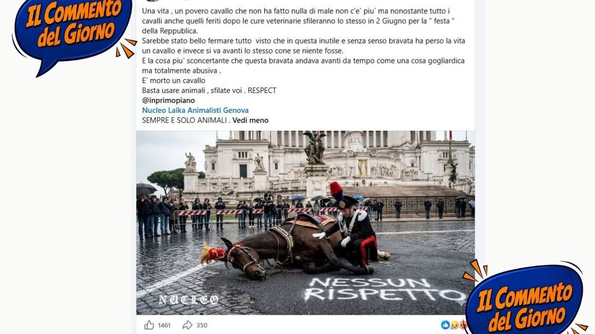 Il cavallo non è morto, ma i commenti restano chiusi